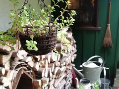 -三鹰之森吉卜力美术馆