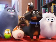 -AMG海上明珠影城(上海环球港RealDCinema店)