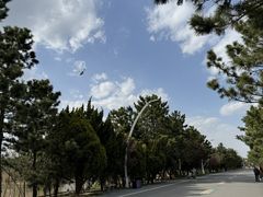 -山东八大碗山东老字号