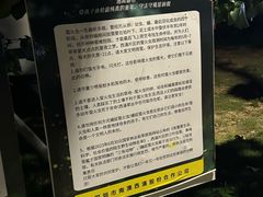 -西涌国际滨海旅游区