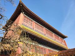 -故宫博物院(故宫)