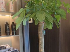 -鹿栖.精油SPA(金山世纪城店)