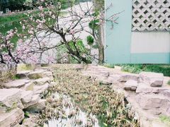 -宁波儿童公园(鄞州区)