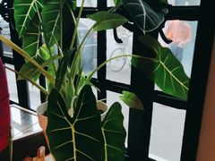 -一尺花园(安和花园店)