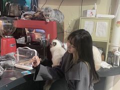 -猫色咖啡·猫咖
