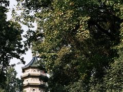 -灵谷景区