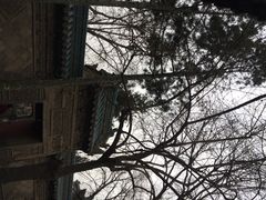 大清真寺-西安化觉巷清真大寺