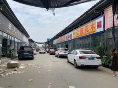 -金科花卉市场