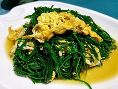 -鹏馨羊羔肉·非遗(新建街店)