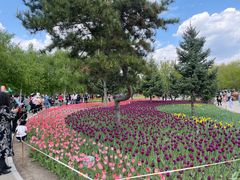 -长春公园(普阳街道)