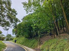 -黄埔油麻山森林公园