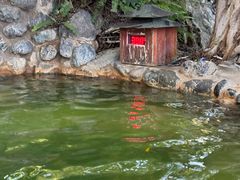 -湖泉半山温泉