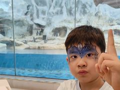 -帝企鹅自助餐厅•儿童岛•真企鹅(长隆企鹅酒店)