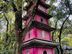 -阿育王寺