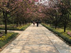 -南山植物园