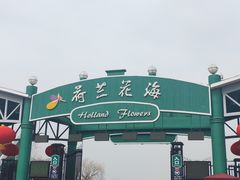 -荷兰花海