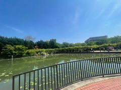 -嘉定紫藤园