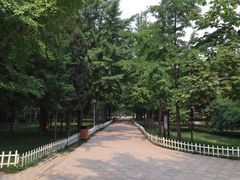 -迎泽公园