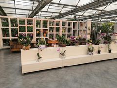 -兰陵国家农业公园