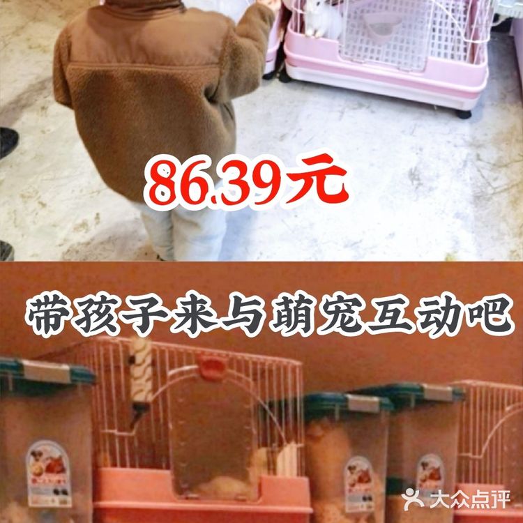 86.39元带孩子来与萌宠互动吧