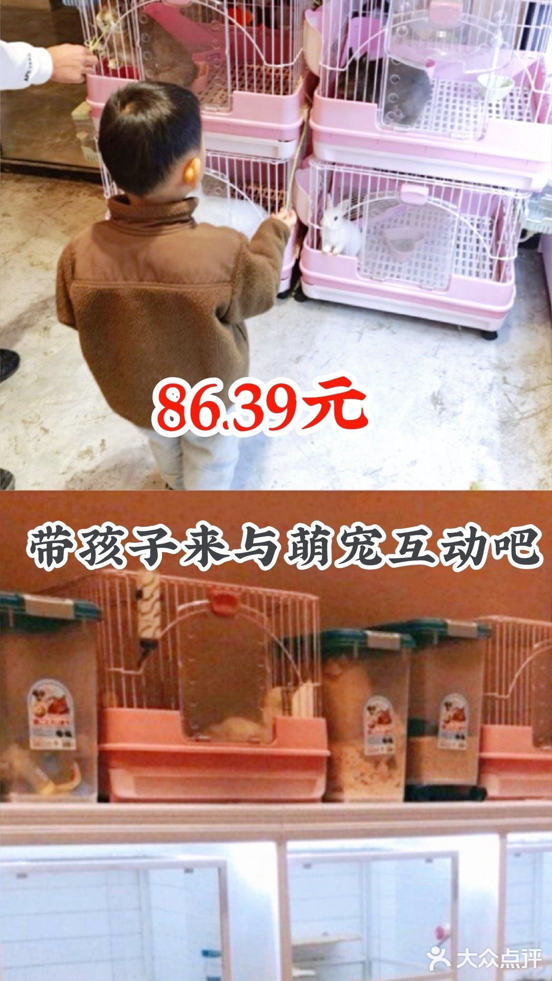 86.39元带孩子来与萌宠互动吧