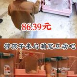 86.39元带孩子来与萌宠互动吧
