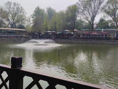 -尚庄度假村·庭台树下·户外烧烤·团建CS·轰趴营地(上庄水库店)