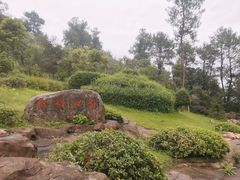 -铁山坪森林公园