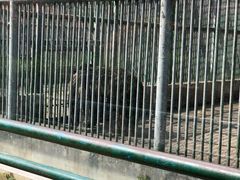 -祥源·阜阳生态乐园