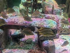 -沈阳海洋探索中心