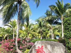 -三亚珠江南田温泉度假区