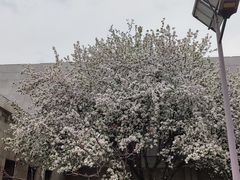 -秦始皇帝陵博物院(兵马俑)