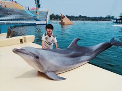 -秦皇岛乐岛海洋王国