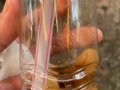 -罗汉果龙眼冰糖燉冬瓜