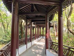 -上海佘山国家森林公园天马山园