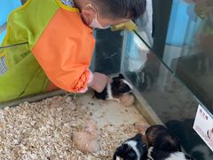 -怪兽屋·羊驼·猫咖·狗咖(俊华广场店)