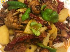 -巴依老爷新疆美食(望京小街店)