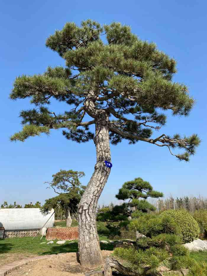 杜陵遗址生态公园-"「杜陵遗址生态公园」 交通:自驾很方.