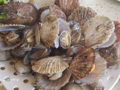 -港畔赶海蒸汽海鲜烧烤自助(仙螺岛店)