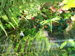 -国家植物园南园