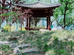 -南长河公园