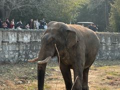 -西安秦岭野生动物园