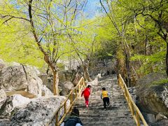 -北京上方山国家森林公园