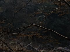 -燕子河大峡谷天坑仙境