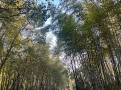 -天目湖涵田度假村