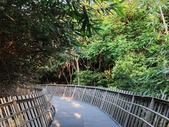 -福道