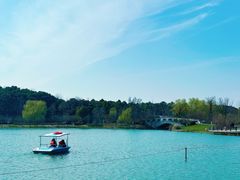 -昆山城市生态森林公园