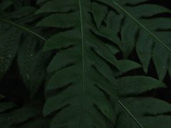 -龙窝子