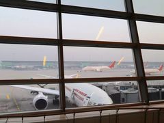 -英迪拉·甘地国际机场