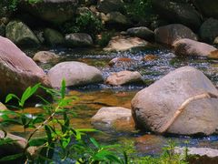-海南热带雨林国家公园吊罗山景区